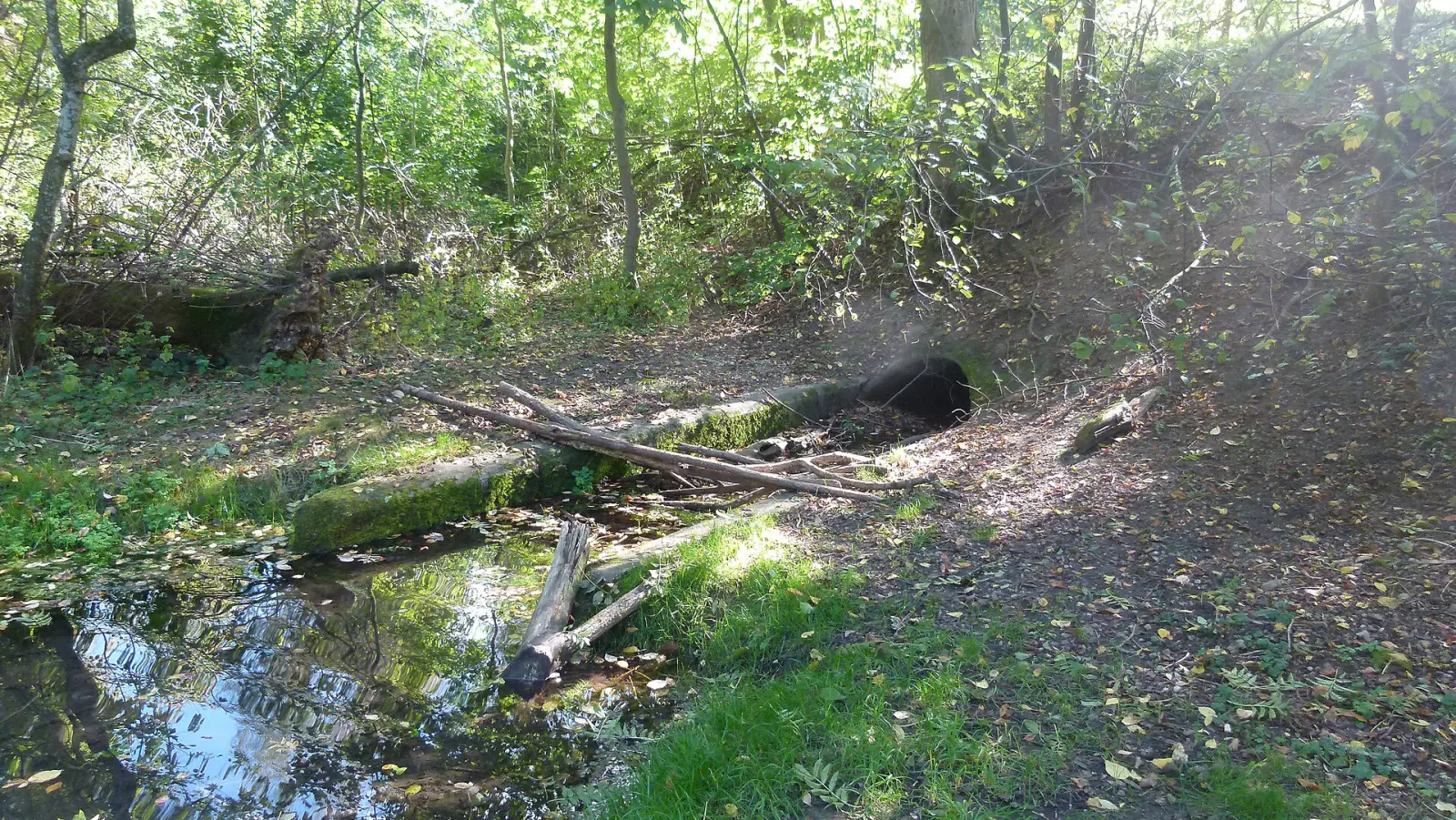 Ursprung des Hachinger Bachs nahe Deisenhofen (Gemeinde Oberhaching)